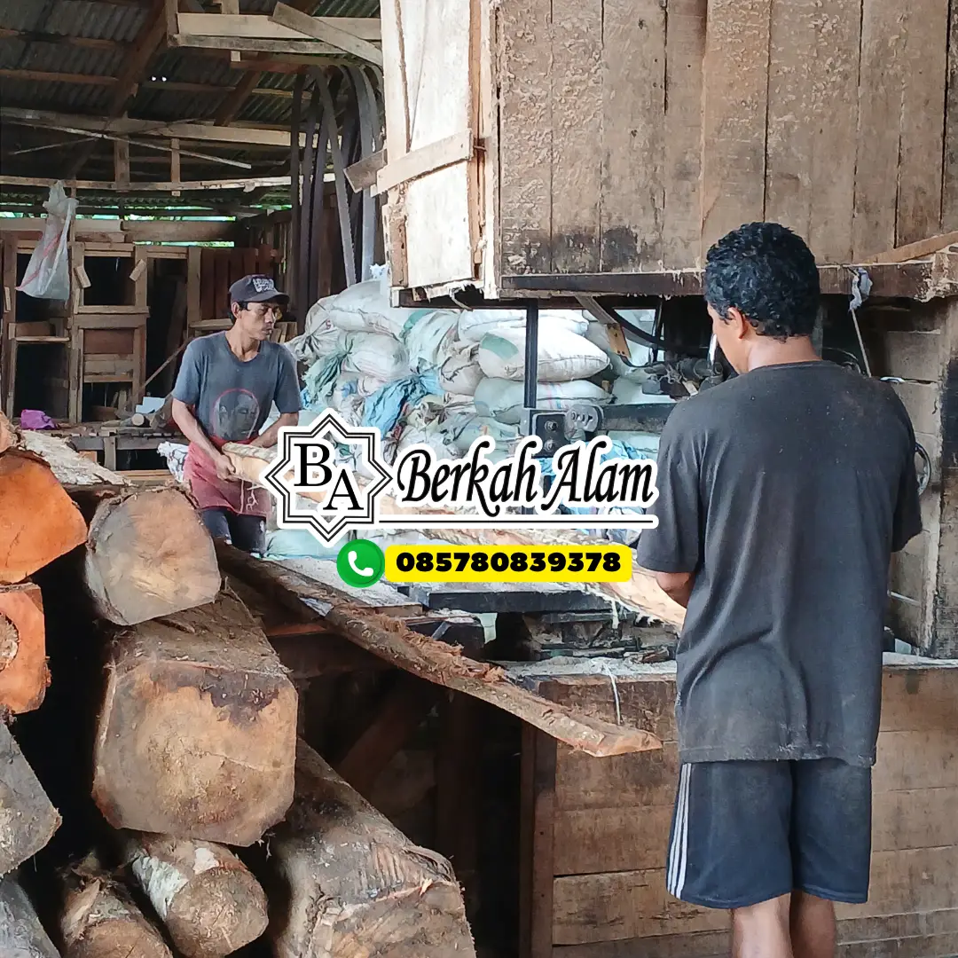 Jasa Sawmill Berkah Alam 1